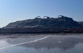 Pollution Plagues Kashmir's Anchar Lake: Communities Struggle Amidst Waste Crisis