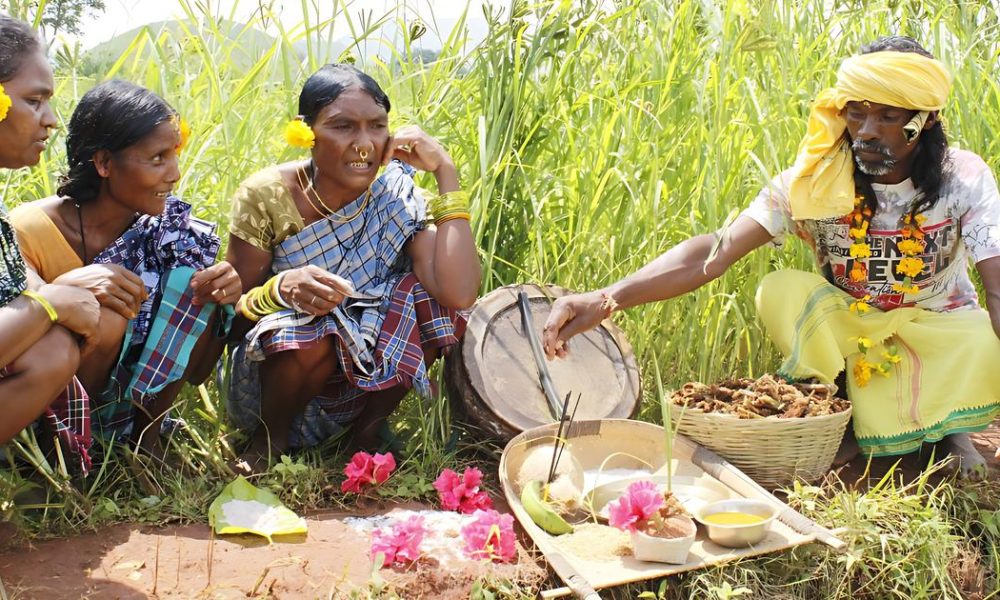 Preserving Heritage: How Festivals Sustain Adivasi Agriculture in Koraput