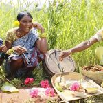 Preserving Heritage: How Festivals Sustain Adivasi Agriculture in Koraput