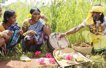 Preserving Heritage: How Festivals Sustain Adivasi Agriculture in Koraput