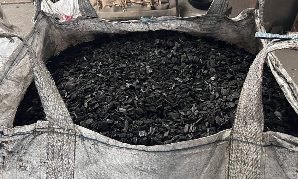 Tech Giants Turn to Rajasthan's Invasive Trees for Carbon Credit Solutions