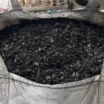 Tech Giants Turn to Rajasthan's Invasive Trees for Carbon Credit Solutions