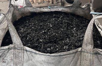 Tech Giants Turn to Rajasthan's Invasive Trees for Carbon Credit Solutions