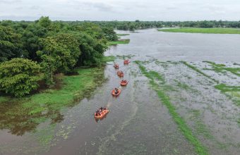 Tragic Toll: Assam Floods Claim 95 Lives as Disaster Strikes Regions