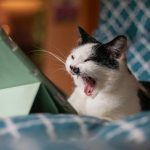 Transforming Boredom into Opportunity: A Guide to Embrace and Utilize Downtime