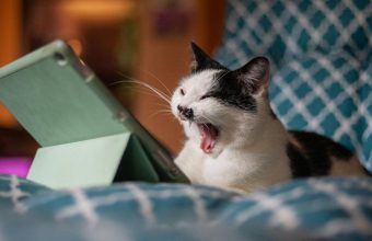 Transforming Boredom into Opportunity: A Guide to Embrace and Utilize Downtime