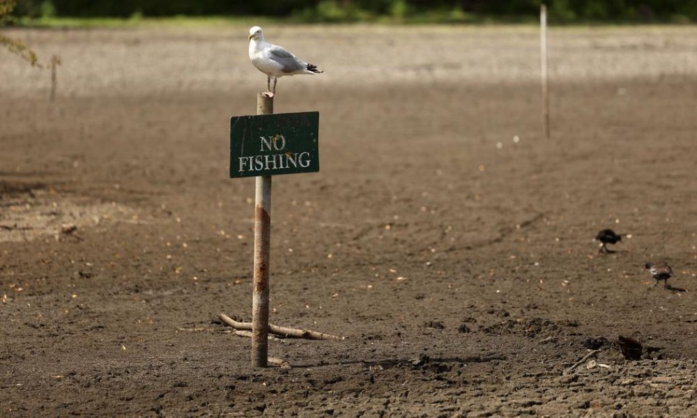 UK Drought Exposes Vulnerabilities in Food Supply Chain