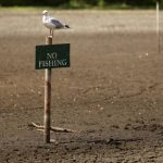 UK Drought Exposes Vulnerabilities in Food Supply Chain