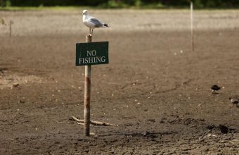 UK Drought Exposes Vulnerabilities in Food Supply Chain