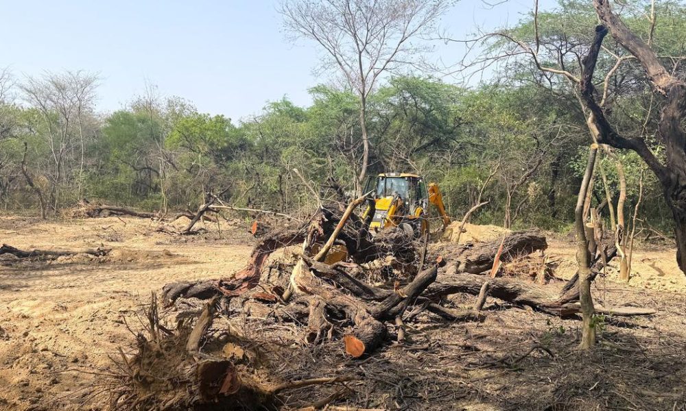 Urban Heatwaves Intensified by Deforestation: Insights from Eco India Episode 330
