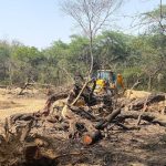Urban Heatwaves Intensified by Deforestation: Insights from Eco India Episode 330