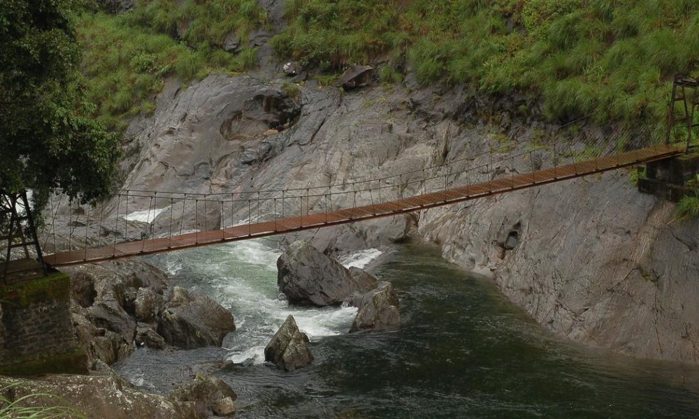 Young Activists Unite: Pen Pals Rally Against Dam Construction in Silent Valley