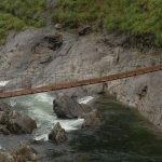 Young Activists Unite: Pen Pals Rally Against Dam Construction in Silent Valley