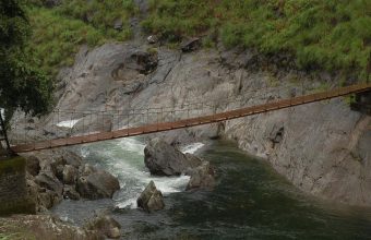 Young Activists Unite: Pen Pals Rally Against Dam Construction in Silent Valley