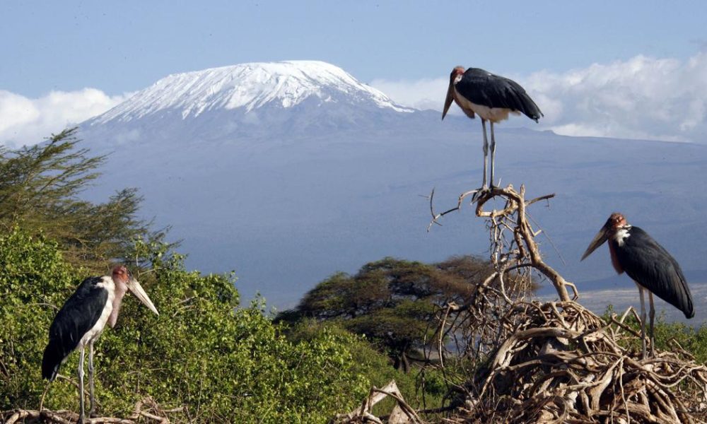 East Africa's Glaciers Facing Permanent Disappearance Amid Climate Change