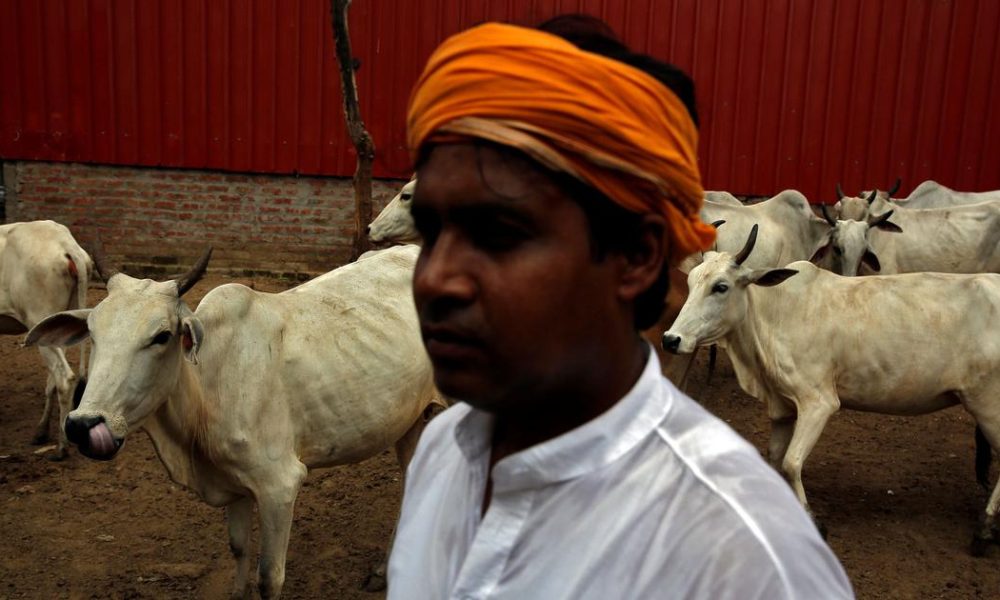 Impact of Cow Slaughter Bans on Livelihoods: A Deep Dive into Current Issues