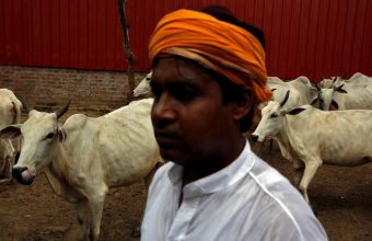 Impact of Cow Slaughter Bans on Livelihoods: A Deep Dive into Current Issues