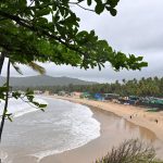 Goa's Eco-Sensitive Lands Under Threat from Legal Real Estate Developments