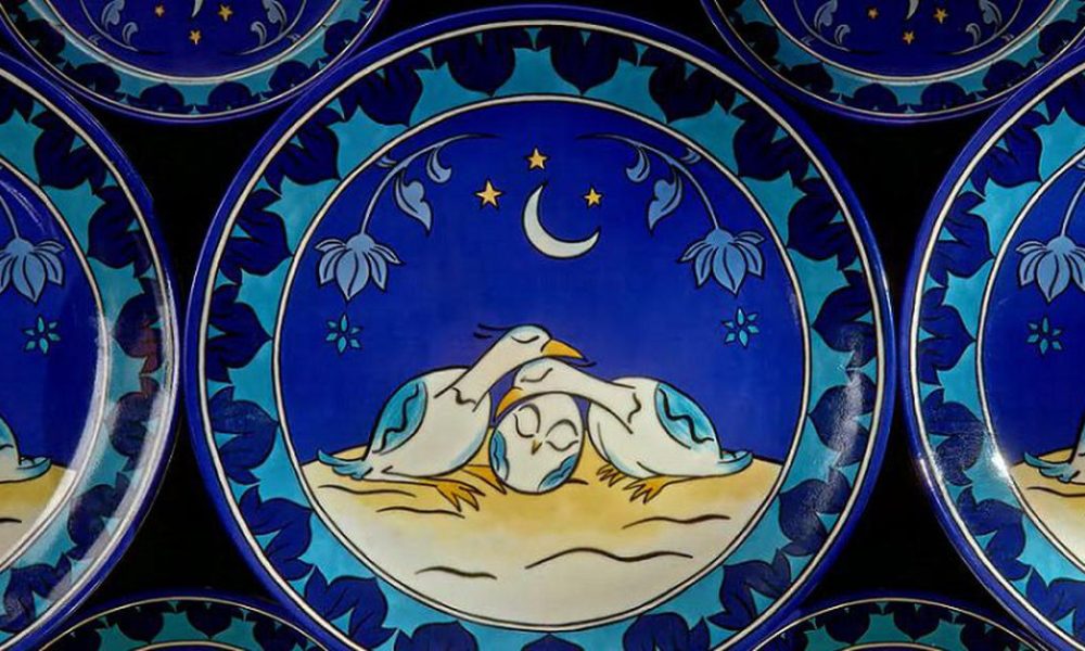 Innovative Animation Brings Attention to Great Indian Bustard Conservation Efforts