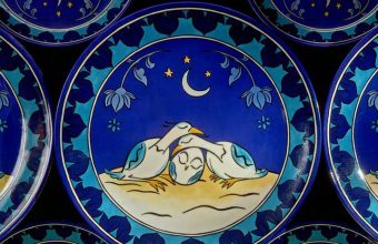 Innovative Animation Brings Attention to Great Indian Bustard Conservation Efforts