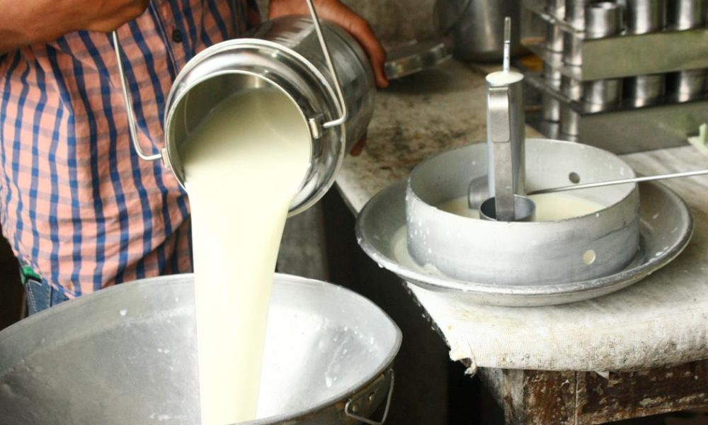 Maharashtra FDA Destroys Over 500 Litres of Milk, Clamps Down on Seven Dairies in Mumbai