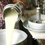 Maharashtra FDA Destroys Over 500 Litres of Milk, Clamps Down on Seven Dairies in Mumbai