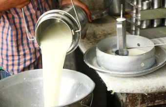 Maharashtra FDA Destroys Over 500 Litres of Milk, Clamps Down on Seven Dairies in Mumbai