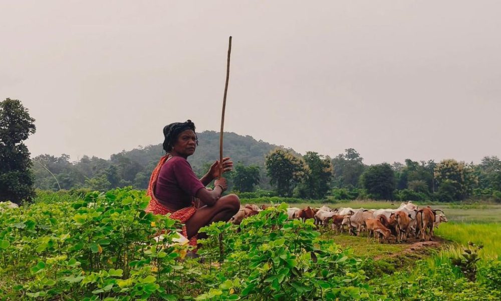 Maharashtra Takes a Bold Step to Empower Women Farmers with New Certification