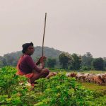 Maharashtra Takes a Bold Step to Empower Women Farmers with New Certification
