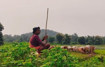 Maharashtra Takes a Bold Step to Empower Women Farmers with New Certification