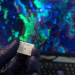 New WHO Study Reveals Infection-Linked Cancer Cases Could Reach 12% Globally in 2024