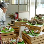 Reviving India's Culinary Heritage: The Urgent Need to Preserve Local Vegetable Varieties