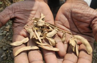 Severe Drought Hits Maharashtra's Beed District as Winter Approaches
