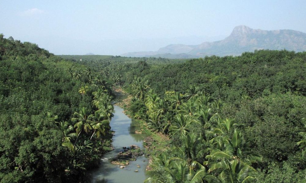 The Dilemma of Development: Engineer Faces Ethical Quandary Over Controversial Dam Project