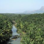 The Dilemma of Development: Engineer Faces Ethical Quandary Over Controversial Dam Project
